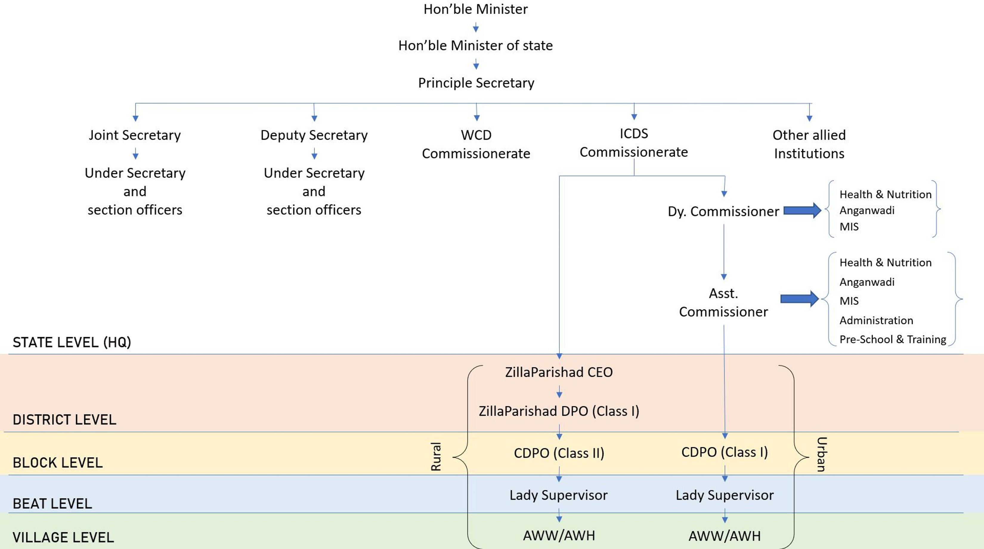 Organization Structure